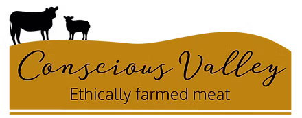Conscious Valley logo