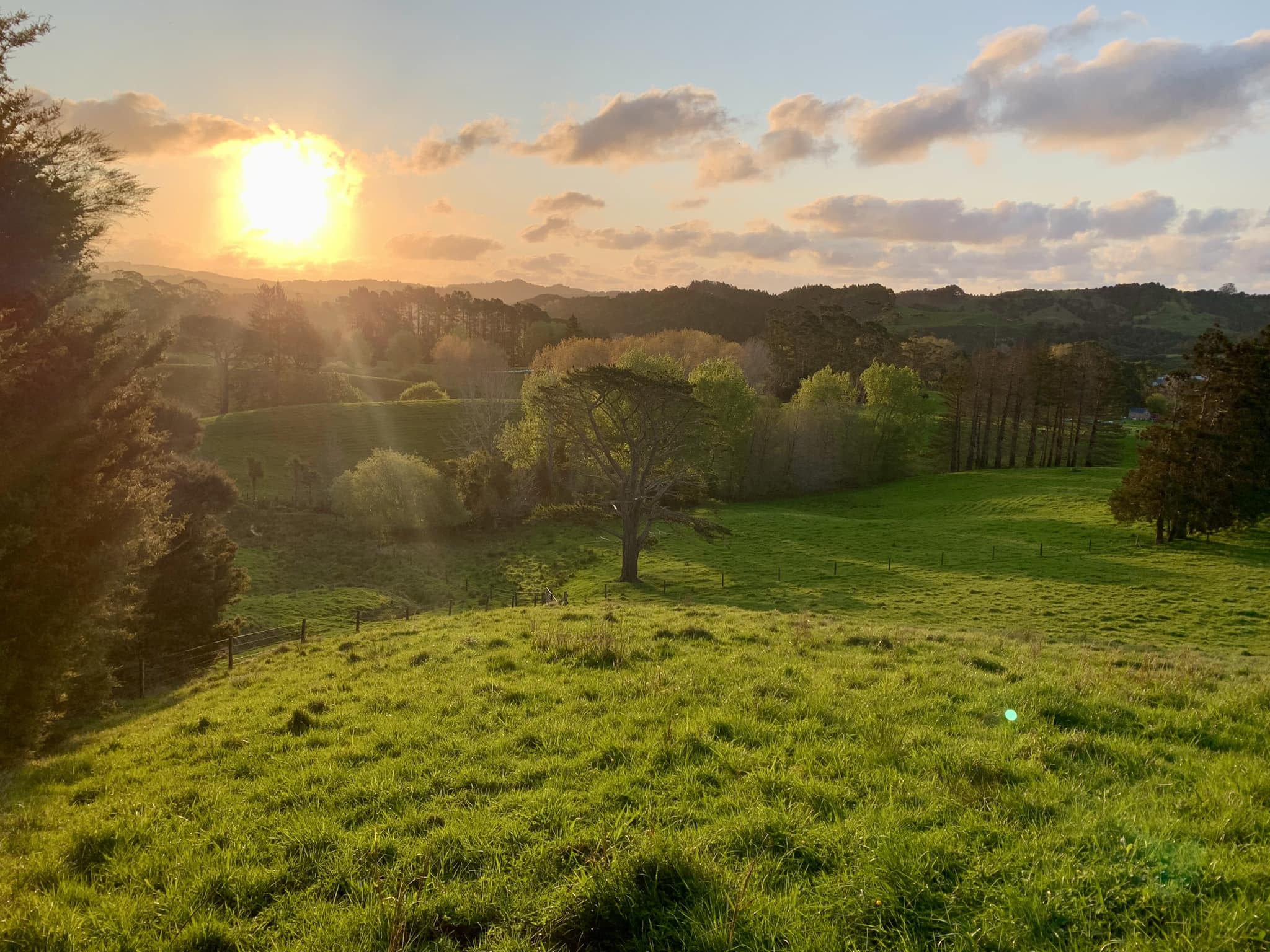 A New Zealand farm